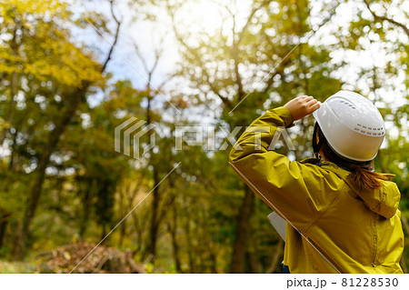 Image photo Image photo 81228530