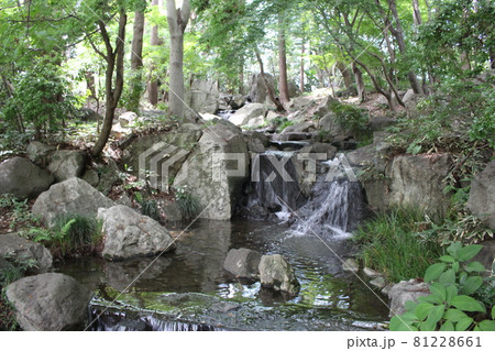 栃木県中央公園 81228661
