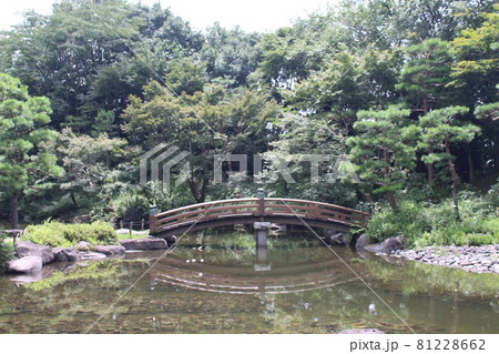 栃木県中央公園 栃木県中央公園 81228662