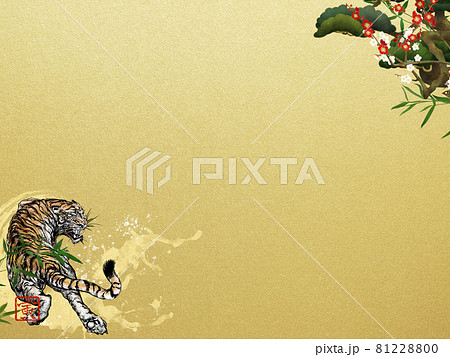 虎年背景素材 插圖素材 8120 圖庫