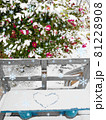 雪積もるサザンカ　雪でハートを描いたベンチ　イラスト 81228908