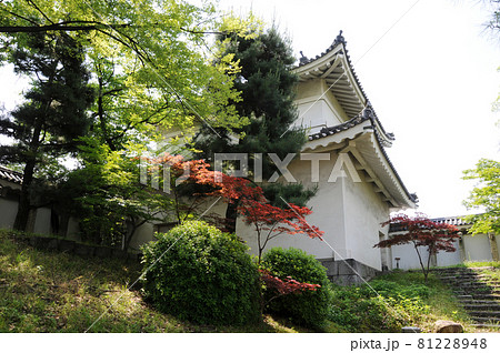 二条城　東南隅櫓　京都市中京区 81228948