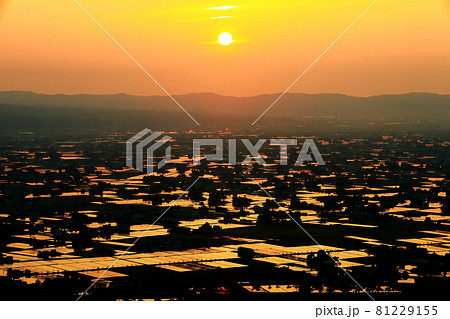 【富山県】散居村の夕景 81229155