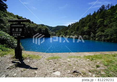 長野県 志賀高原 大沼池から赤石山ハイキング 大沼池の沼尻に到着 長野県 志賀高原 大沼池から赤石山ハイキング 大沼池の沼尻に到着 81229231