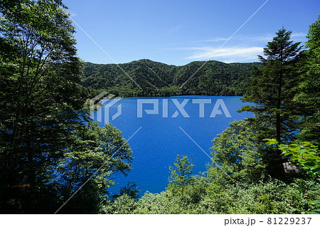 長野県 志賀高原 大沼池から赤石山ハイキング 大沼池の沼尻から登山口までの湖畔道からの大沼池 長野県 志賀高原 大沼池から赤石山ハイキング 大沼池の沼尻から登山口までの湖畔道からの大沼池 81229237