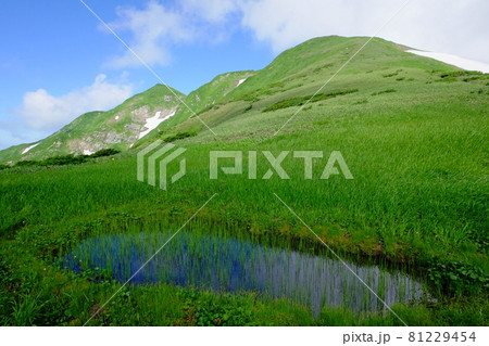 高山植物が咲き誇り、美しい稜線と雪渓が織りなす雄大な山岳風景が魅力の名峰、大朝日岳(朝日連峰) 高山植物が咲き誇り、美しい稜線と雪渓が織りなす雄大な山岳風景が魅力の名峰、大朝日岳(朝日連峰) 81229454
