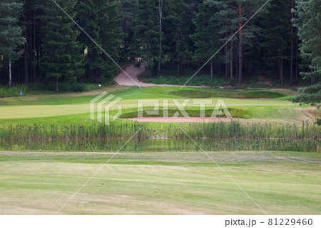 Lake surrounded by greenery on the territory of the golf club 81229460