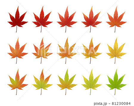 リアルな紅葉のイラスト素材セット カラーバリエーションのイラスト素材