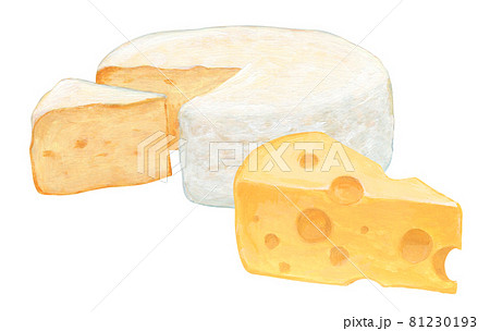 穴あきチーズとカマンベールチーズ（手描き） 81230193