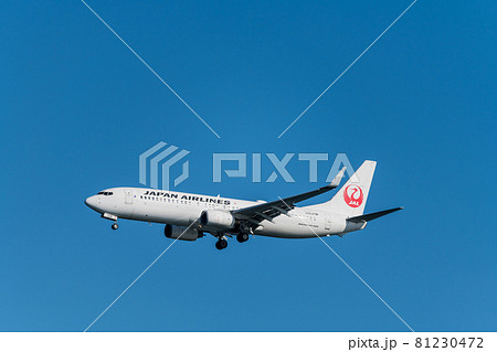 【浮島町公園からA滑走路に着陸するJAL機】 81230472