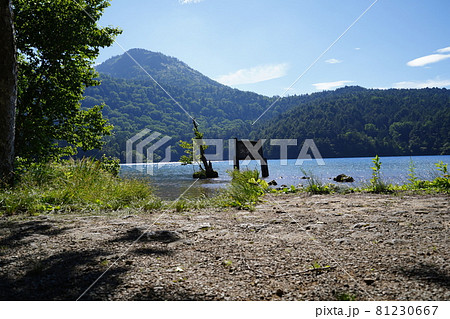 長野県 志賀高原 大沼池から赤石山ハイキング 登山口付近の大沼池 正面は裏志賀山 長野県 志賀高原 大沼池から赤石山ハイキング 登山口付近の大沼池 正面は裏志賀山 81230667
