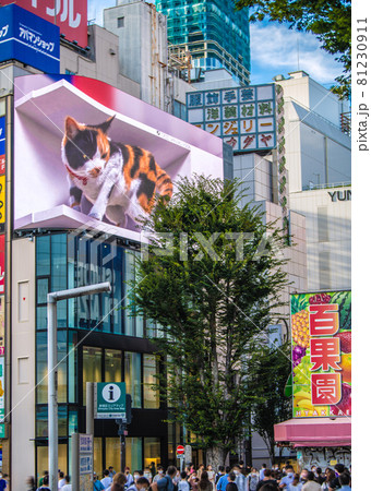 日本の東京都市景観 5534人過去2番目。全国2万5156人…新宿駅東口前は多くの人出…=8月19日 日本の東京都市景観 5534人過去2番目。全国2万5156人…新宿駅東口前は多くの人出…=8月19日 81230911