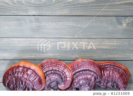 Ganoderma lucidum mushroom on wooden floor Ganoderma lucidum mushroom on wooden floor 81231009
