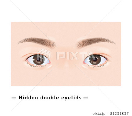末広 二重 まぶた 瞼 両目 美容 整形 目 種類 目元のイラスト素材