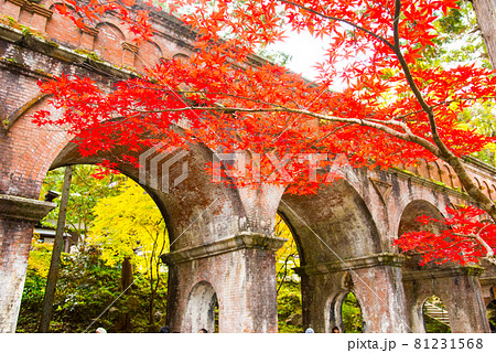 京都 南禅寺の紅葉 水路閣 京都 南禅寺の紅葉 水路閣 81231568