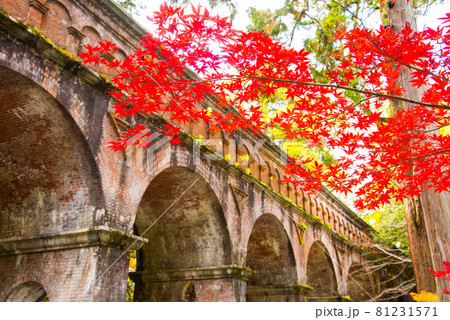 京都 南禅寺の紅葉　水路閣 81231571