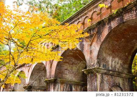 京都 南禅寺の紅葉　水路閣 81231572