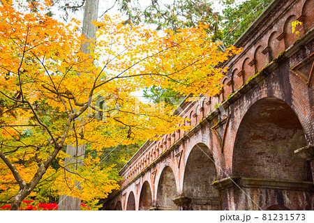 京都 南禅寺の紅葉　水路閣 81231573