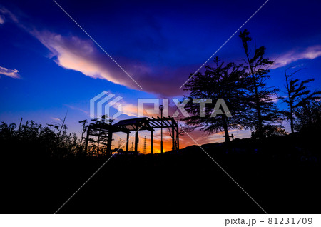 山手台北公園の夕焼け、宝塚市の高台、11月15日、日本 81231709