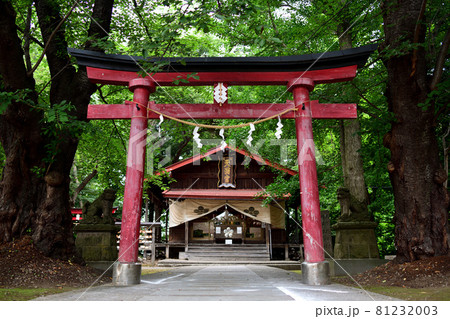 青森県弘前市 弘前天満宮の赤い鳥居 青森県弘前市 弘前天満宮の赤い鳥居 81232003