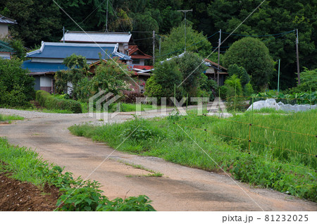 田舎のカーブ道・内山棚田清流さんぽみち 81232025