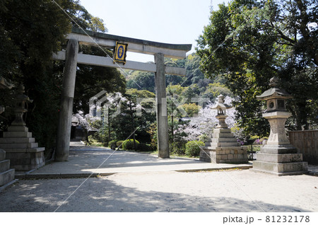 石清水八幡宮 一の鳥居 京都府八幡市 石清水八幡宮 一の鳥居 京都府八幡市 81232178