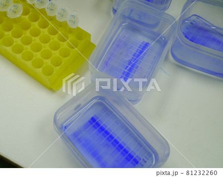 薬 医学 薬剤 81232260