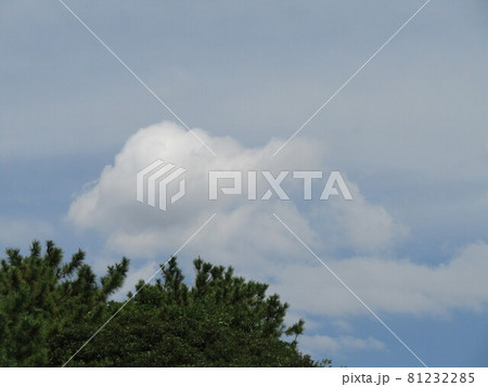 夏の青空と白い雲 夏の青空と白い雲 81232285
