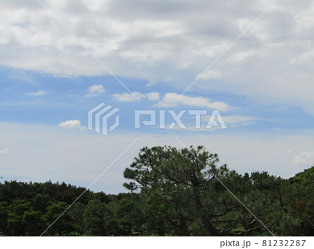 夏の青空と白い雲 夏の青空と白い雲 81232287