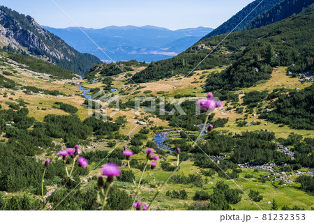 Valley and mountain slopes in Pirin National Park, Bulgaria. 81232353
