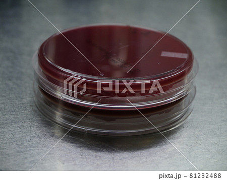 研究室 実験室 ラボ 81232488