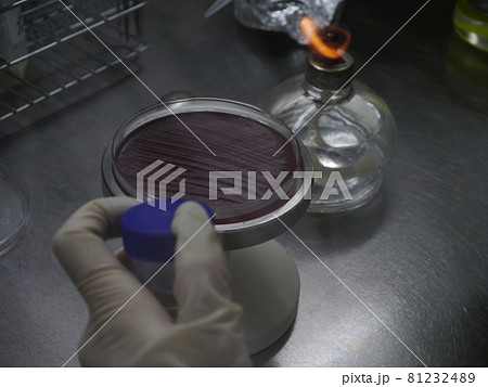 リサーチ 研究 調査 81232489