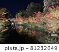 ライトアップ 81232649