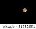 月 81232651