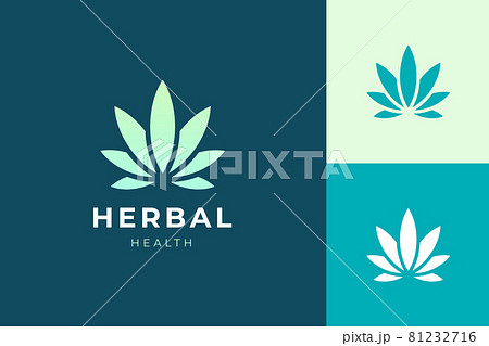 Herbal or health logo in simple and clean cannabis or marijuana leaf Herbal or health logo in simple and clean cannabis or marijuana leaf 81232716