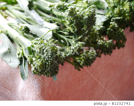 野菜 ベジタブル 青菜 81232741