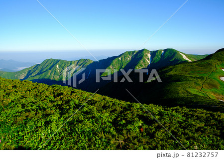 高山植物が咲き誇り、美しい稜線と雪渓が織りなす雄大な山岳風景が魅力の名峰、大朝日岳(朝日連峰) 高山植物が咲き誇り、美しい稜線と雪渓が織りなす雄大な山岳風景が魅力の名峰、大朝日岳(朝日連峰) 81232757