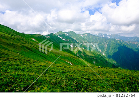 高山植物が咲き誇り、美しい稜線と雪渓が織りなす雄大な山岳風景が魅力の名峰、大朝日岳(朝日連峰) 高山植物が咲き誇り、美しい稜線と雪渓が織りなす雄大な山岳風景が魅力の名峰、大朝日岳(朝日連峰) 81232764