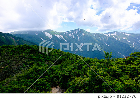 高山植物が咲き誇り、美しい稜線と雪渓が織りなす雄大な山岳風景が魅力の名峰、大朝日岳（朝日連峰） 81232776
