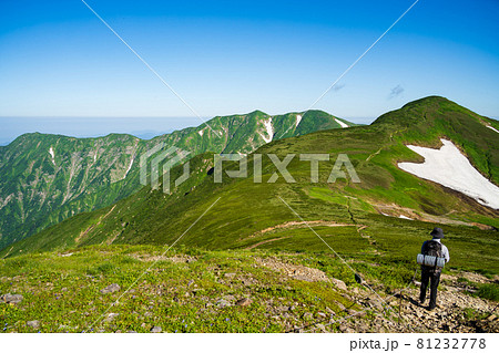 高山植物が咲き誇り、美しい稜線と雪渓が織りなす雄大な山岳風景が魅力の名峰、大朝日岳（朝日連峰） 81232778