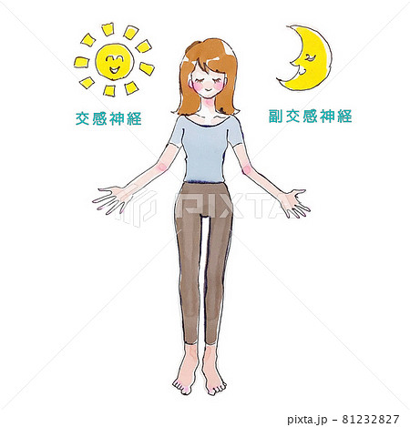 自律神経の仕組み 81232827