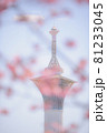 桜・サクラ・さくら 81233045