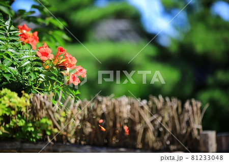 花 蓮 池 81233048