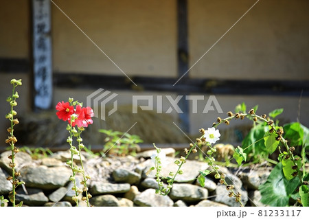 花 蓮 池 81233117