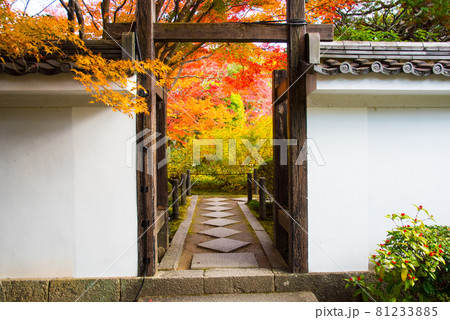 京都 天授庵の紅葉 京都 天授庵の紅葉 81233885