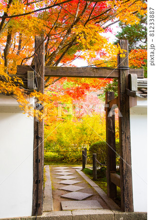 京都 天授庵の紅葉 京都 天授庵の紅葉 81233887