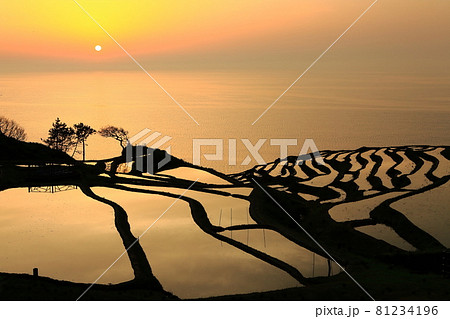 【石川県】白米千枚田の夕焼け 81234196