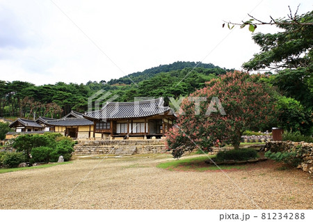 ガーデン 庭園 韓屋 81234288