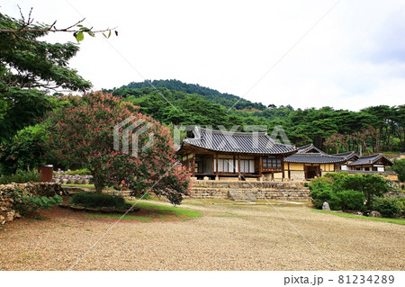 ガーデン 庭園 韓屋 81234289