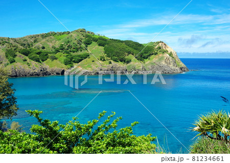 父島・小港海岸近くの高台から中山峠方面を望む（東京都小笠原村） 81234661